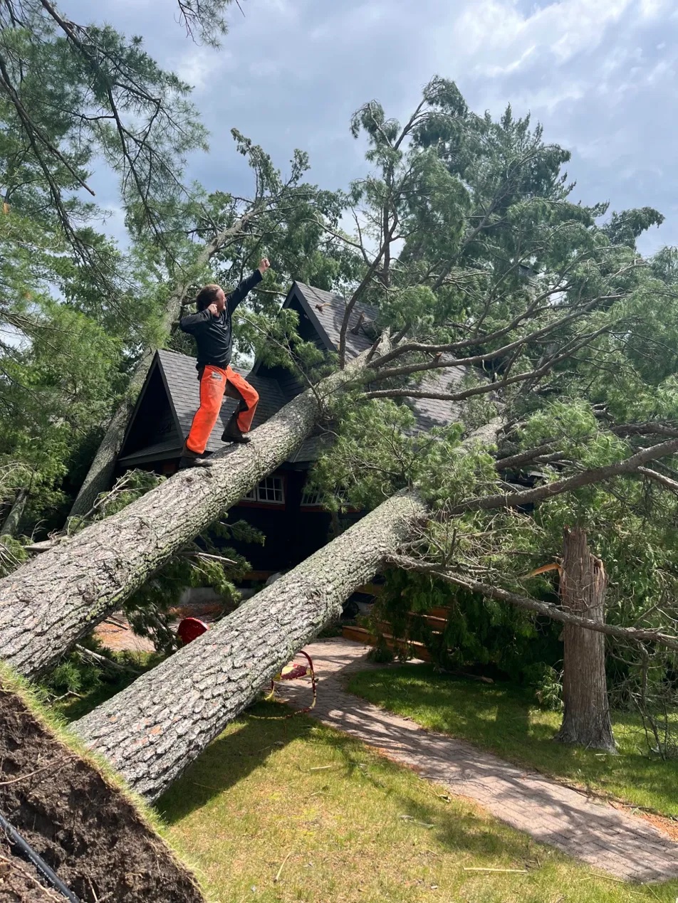 Aerial skid steer rooftop