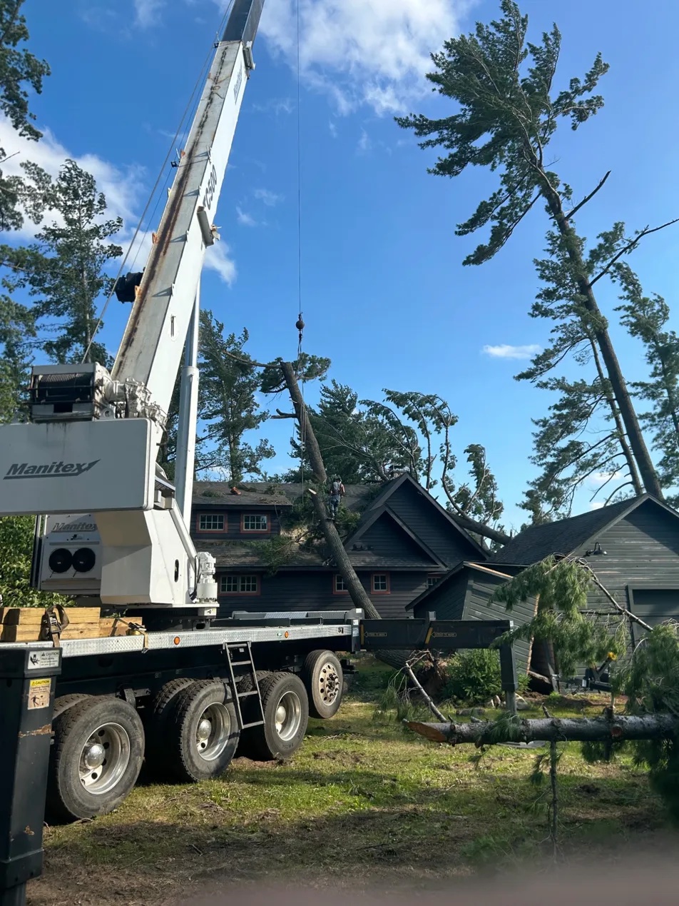 Lore Axe crane tree removal