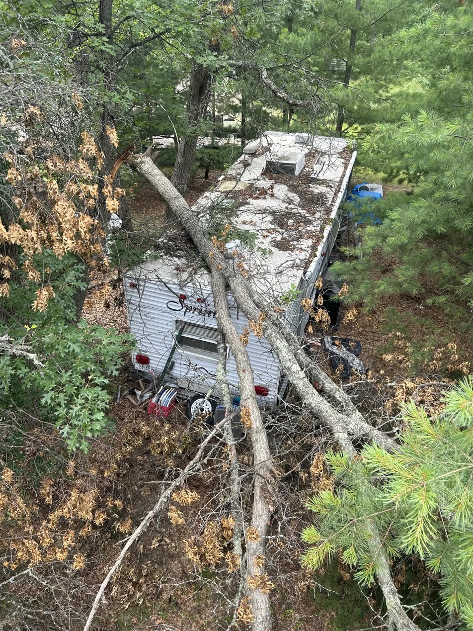 Trees on RV camper storm damage