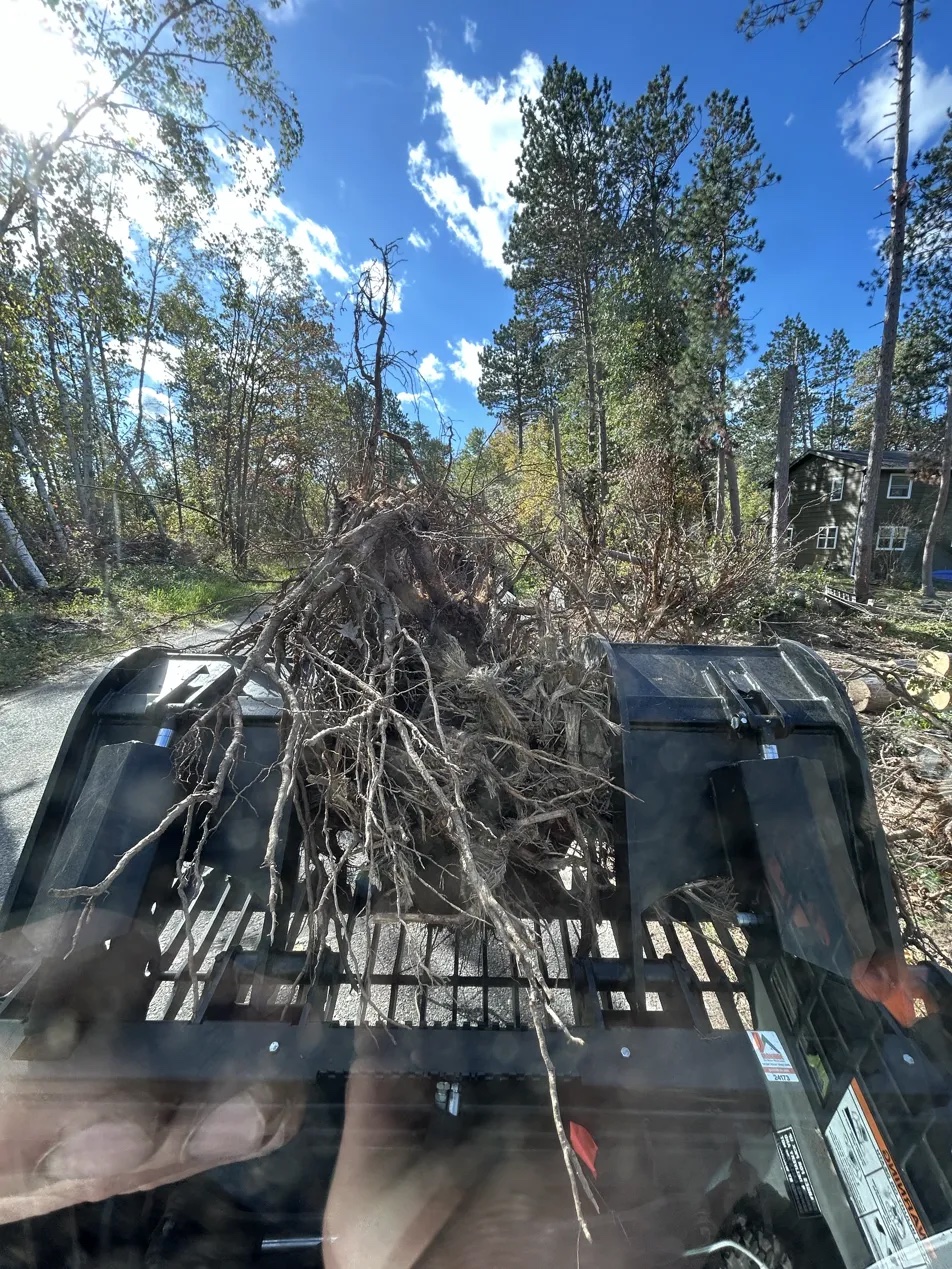 Root ball grapple extraction