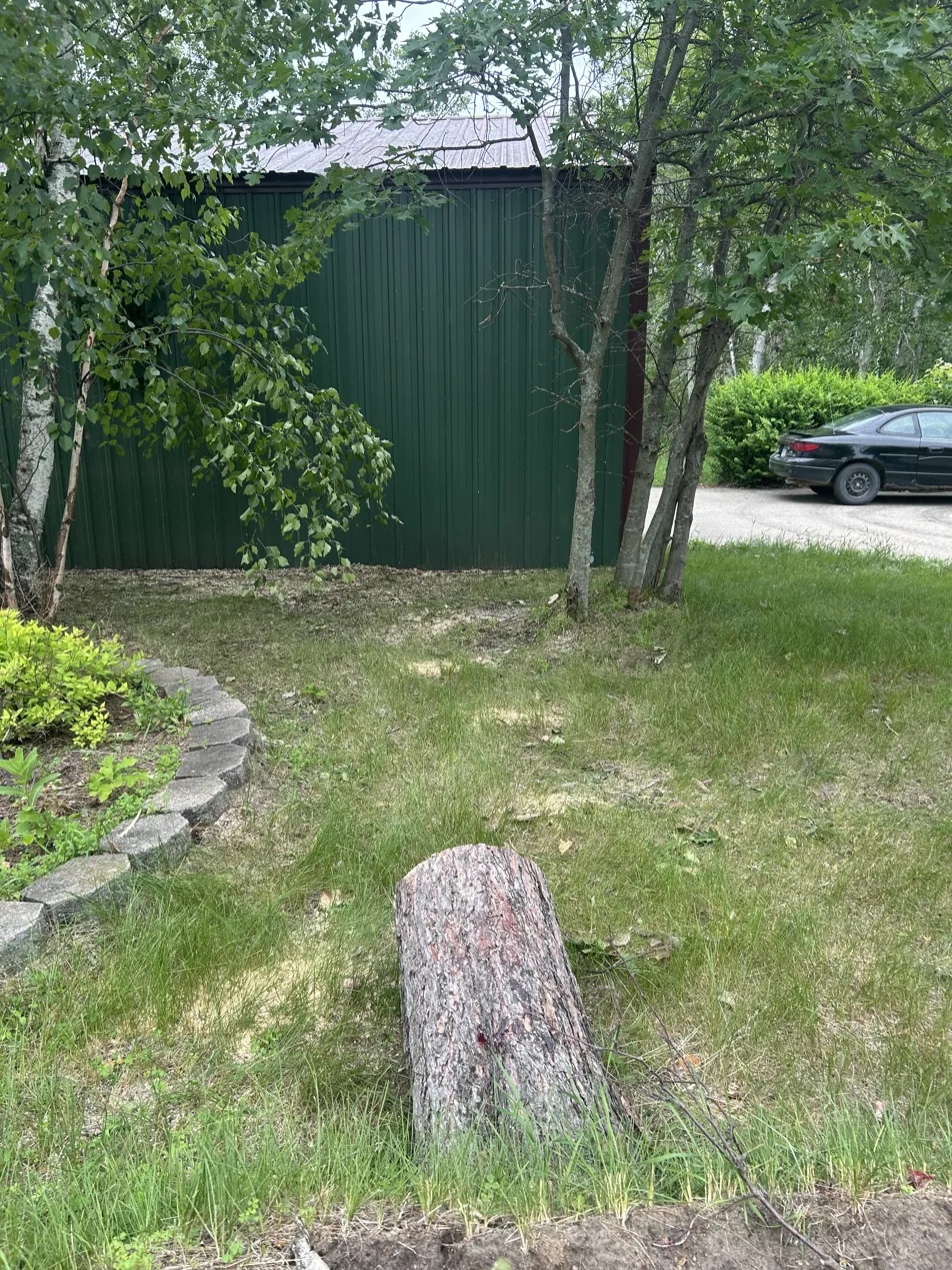 Property before clearing