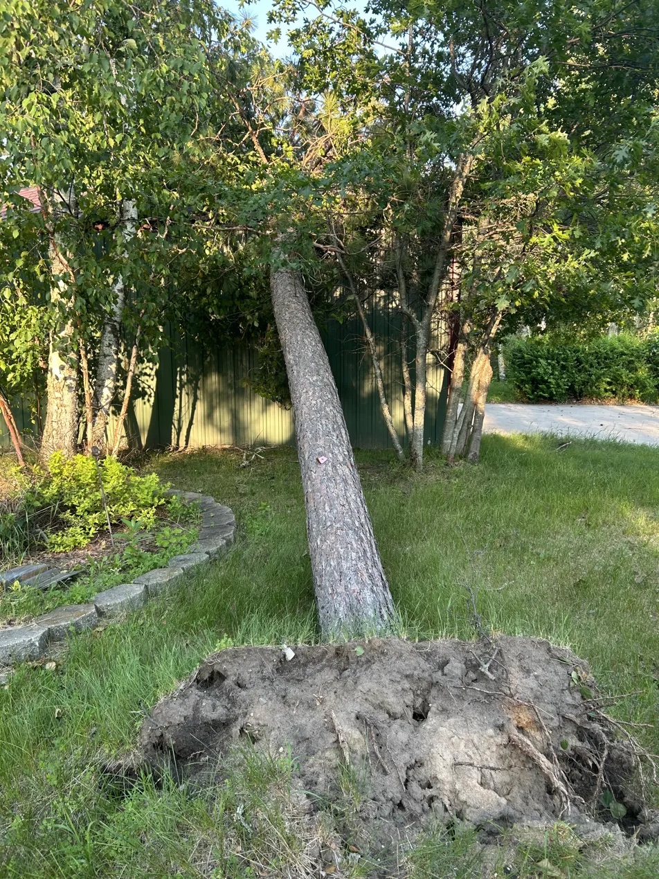 Property after clearing