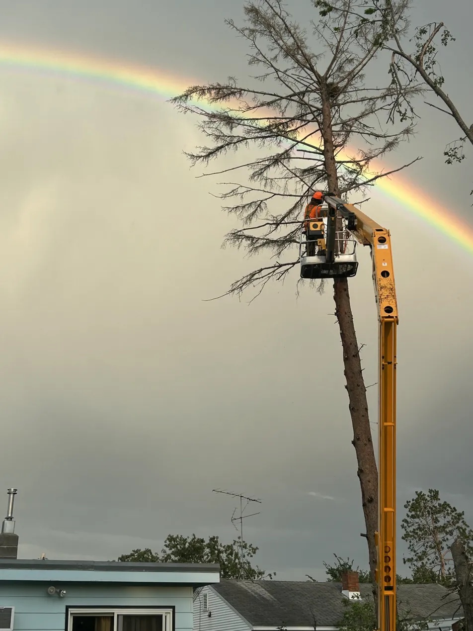 Rainbow aerial bucket arborist storm