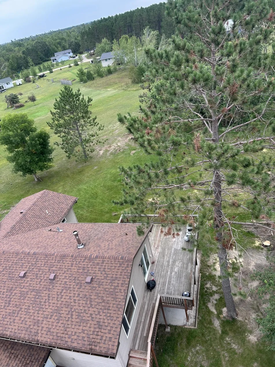 Tree on metal building roof before