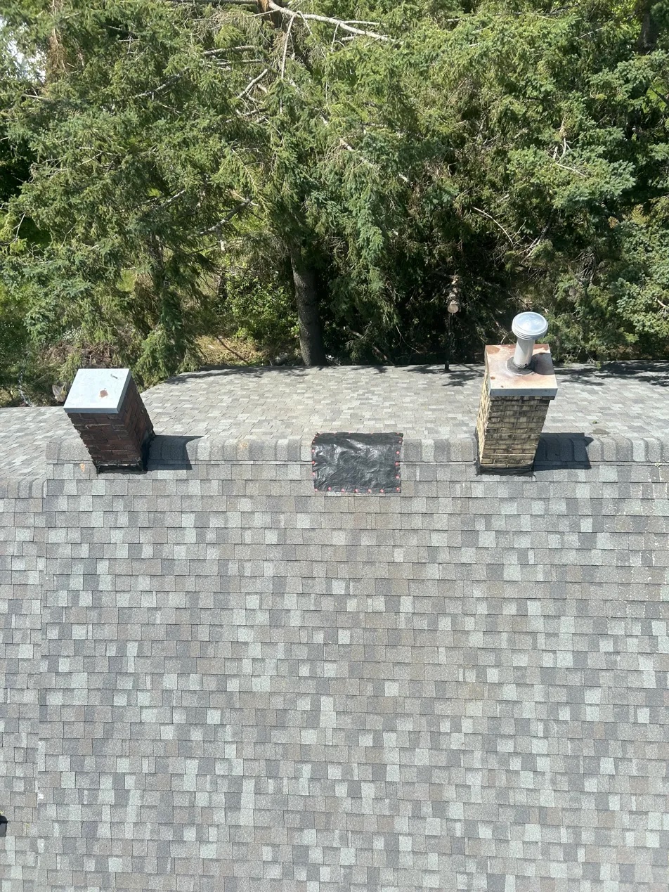 Storm tree on roof before