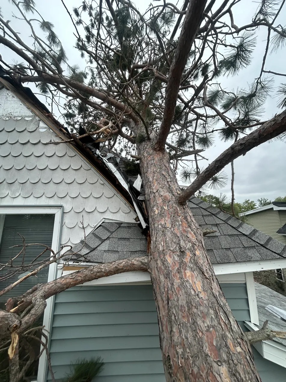 Tree on roof storm damage aerial