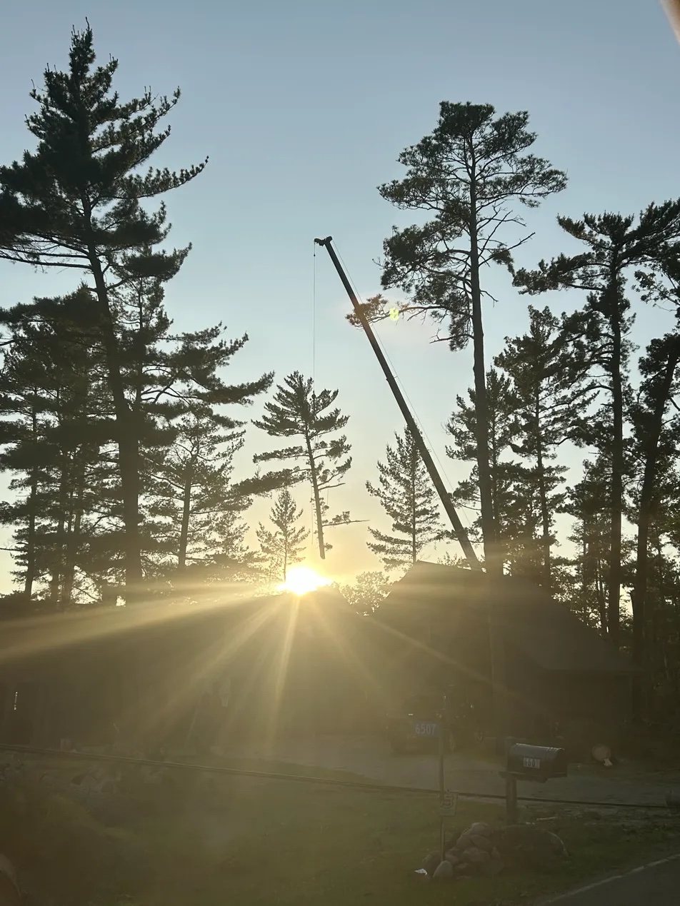 Crane silhouette at sunset