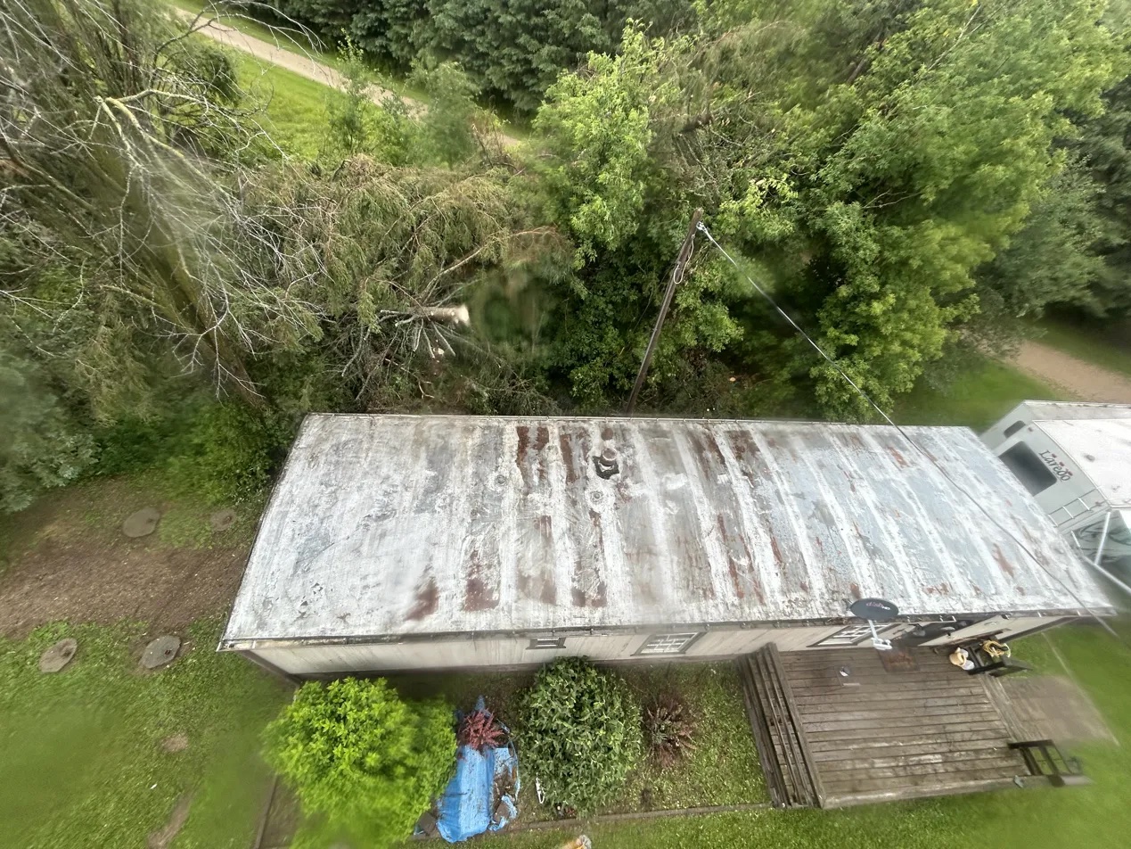 Kubota skid steer loading trailer