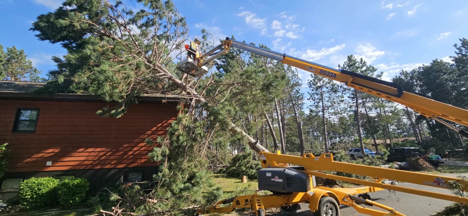Multiple trees fallen on cabin roof